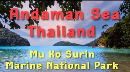 Mu Ko Surin Marine National Park: A Paradise of Rare Wildlife &amp; Stunning Blue Waters