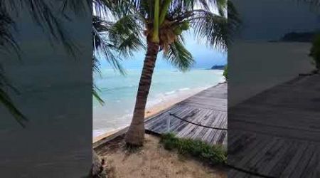 Koh samui beach Thailand 