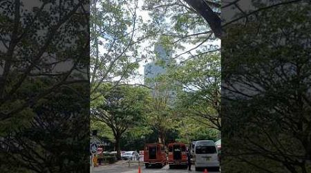 Phuket Giant Buddha parking #thailand #phuket #buddha #temple #budhism #travel #adventure