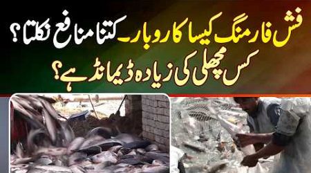 Fish Farming Business in Pakistan - Fish Farming Me Kitna Profit Hai? Konsi Fish Ki Demand Zyada Ha?