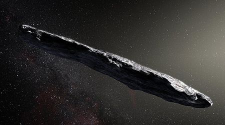 Enigmatic ‘Dark Comets’ Come in Two Distinct Types, Study Finds