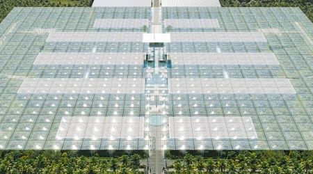 Renzo Piano Building Workshop unveils "hospital of the future" for Sharjah