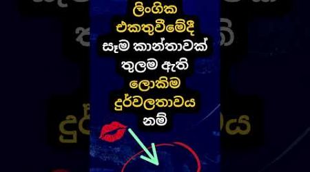 හම්බෝ දන්නවද ඒ මොකද්ද කියලා 