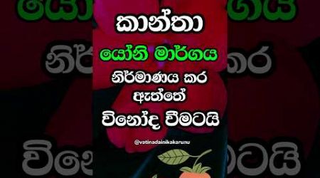 මේ ගැන ඔයා දන්නෙත් නැතුව ඇති 