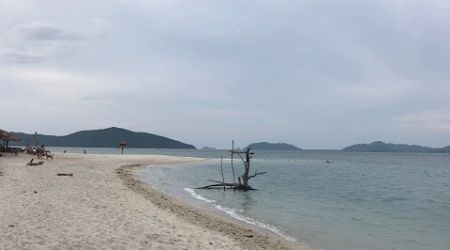 The Pig Island เกาะหมู Koh Samui 