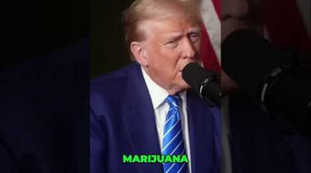 Donald Trump’s view on Medical Cannabis #donaldtrump #americanpolitician #news #donaldtrumpnews