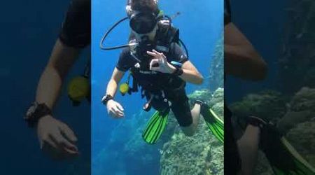 Sail Rock from Koh Samui Thailand #scubadiving #padi #travel #thailand