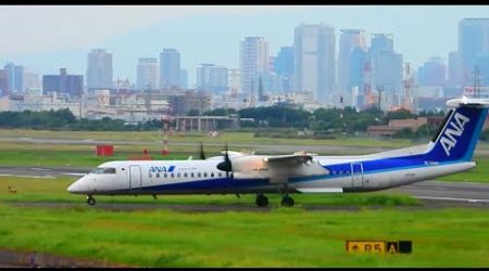 伊丹空港ライブ配信! Plane Spotting Live! Osaka International Airport 12/12/2024