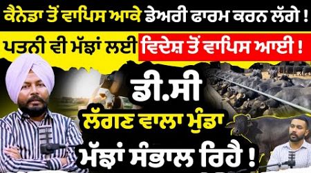 Canada ਤੋਂ ਵਾਪਿਸ ਆਕੇ Dairy farm ਕਰਨ ਲੱਗੇ ! Dairy farming Business | Milking | punjab | Sirlekh