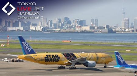 - LIVE - 羽田空港＠T2 ライブカメラ 2024/12/14 TOKYO International Airport HANEDA HND Plane Spotting ターミナル 展望デッキ