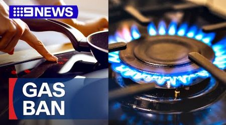 Victorian government pitches electric future as gas supply wanes | 9 News Australia