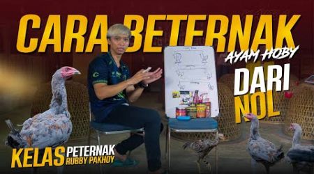 CARA BERTERNAK AYAM BANGKOK DARI NOL BAGI PEMULA