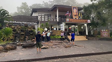 National park in Thailand closed after wild elephant kills visitor