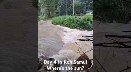 Flooding in Koh Samui December 2024 #kohsamui #flood #fyp #travelshorts