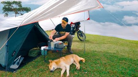 Camping Alone and Riding Motorbike in the Mountains of Thailand / Cooking Thai Food with a Dog