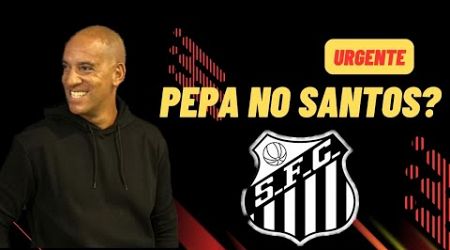 SANTOS AGORA QUER O TREINADOR PORTUGUÊS PEPA PRA COMANDAR O PEIXE NA SÉRIE A!