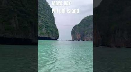 Maya bay phi phi island is amazing beach. #beach #paradise #mayabay #phuket #thailand #shortvideo