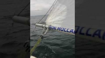 Upwind in the fog #boat #sailing #travel #vela #sailboat #autumn #fog #upwind #wind #jib #sail #iseo