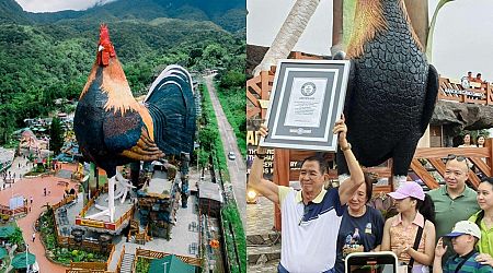 Worth a visit? Resort in Philippines has 'world's largest chicken-shaped building', among other quirky features