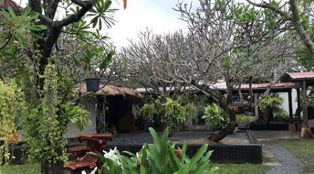 Lovely garden at Samui Airport Thailand 