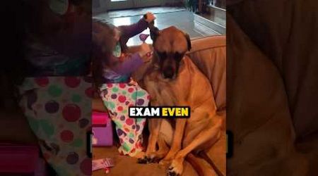 Dog gets unexpected medical examination?