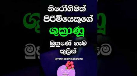 දන්නවද වෙනදේ