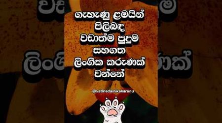 ඔයානම් දන්නෙවත් නැතුව ඇති මේ ගැන 