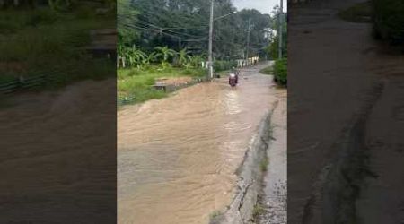 flooding Thailand Koh Samui irainy season December 16th 2024 schools closed cars flooded