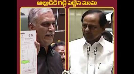 అల్లుడు హరీష్ ఆగంకాకు || #harishrao #assembly #kcr #politics #telangana #shorts #yt #trending