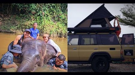 S2E8 : End of the Road Trip! Bathing with Elephant &amp; Forest Retreat