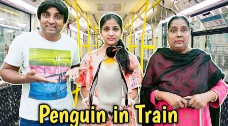 Penguin in Train 