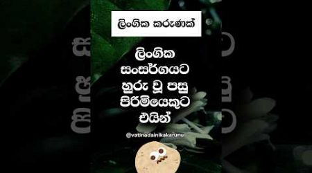 ඔයත් මේ අත්දැකීම තියෙන පිරිමියෙක් වෙන්න ඇති 