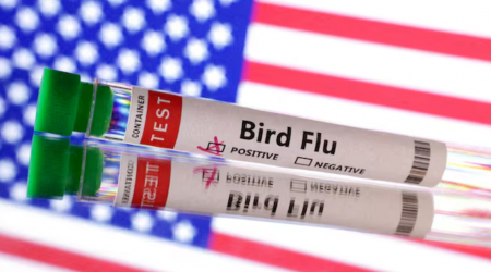 California declares emergency as US suffers first severe human case of bird flu