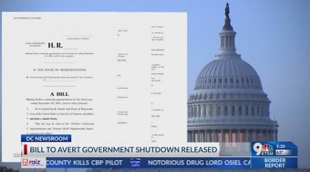 Bill to avert government shutdown released