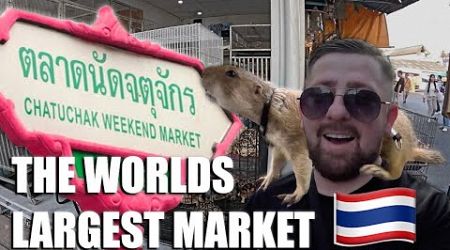 Inside Bangkok&#39;s Infamous Chatuchak Market