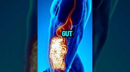 IMPROVE Your Gut Health with These 5 Amazing Foods! #health #guthealth #digestion