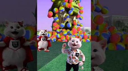 The mascot vibrato assistant placed onthe football field is popular, co-produced,#vfx.meow001