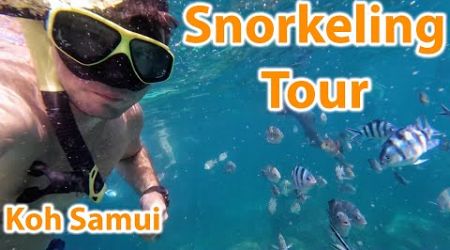 SO MUCH FISH! Snorkeling and swimming along with a school of fish in the best places of Koh Samui