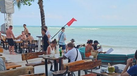 Planet Papas is live THAILAND BEACH KOH SAMUI