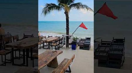 Thailand weather report Dec.21 The Ark Bar, Koh Samui