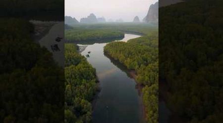 Morning boat rides into Phang Nga Bay, Thailand.