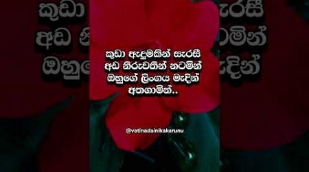 ම්ම්ම් ආසයිනේ 