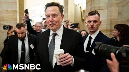 &#39;He&#39;s a tech oligarch&#39;: Elon Musk flexes newfound political power on Capitol Hill