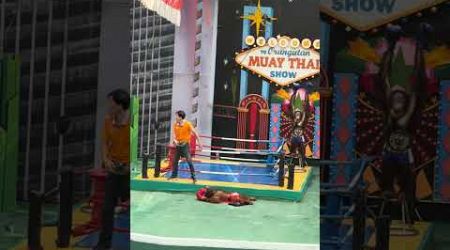 Orangutan boxing show from Bangkok #shorts #shortsfeed #shortsvideo #youtubeshorts #short