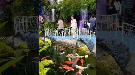 Caught in the moment at the fish pond in Phuket,where carnival vibes meet nature&#39;s beauty