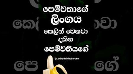 පෙම්වතියට එවලෙට මොනවා හිතෙනවා ඇද්ද 