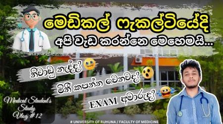 මෙඩිකල් ෆැකල්ටියේ දවස ගෙවෙන ආකාරය | Medical Faculty Day Vlog #12 | 