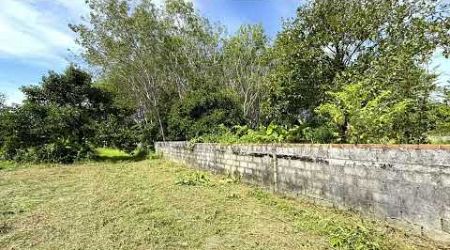 Exceptional 5.5 Rai Mountain View Land for Sale in Thai Mueang, Phangnga