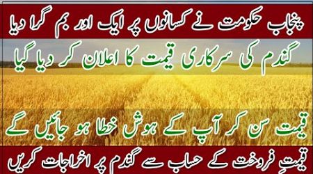 Wheat release price 2024 announced by the government of Punjab| wheat per mound support price 2024