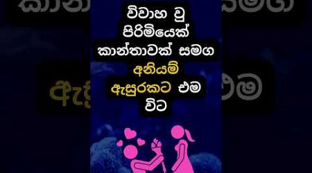 එයාලා තමයි හොදටම කරන්නේ 